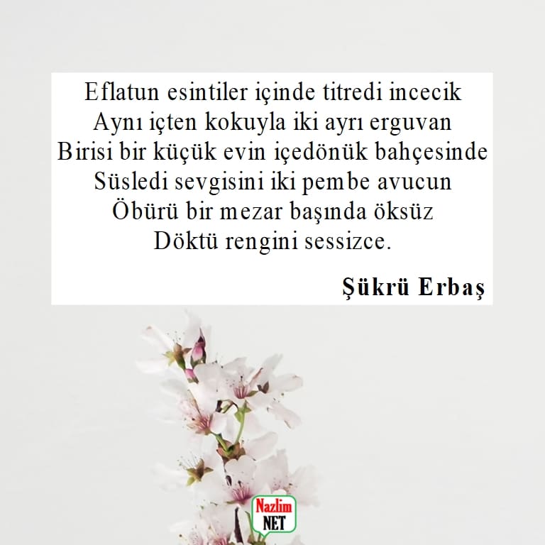 Şükrü Erbaş şiirleri