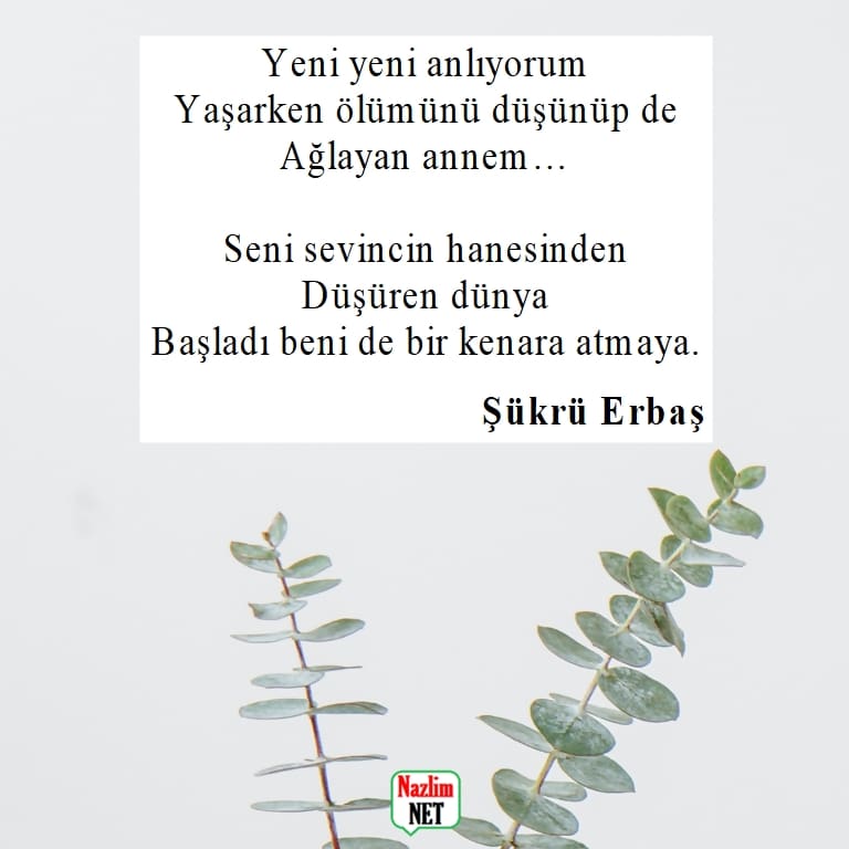 Şükrü Erbaş şiirleri