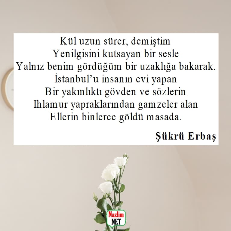 Şükrü Erbaş şiirleri