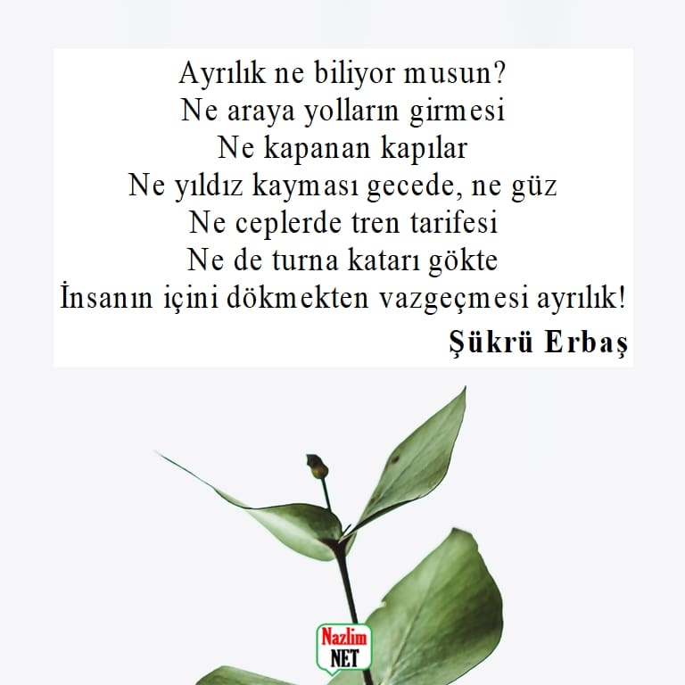 Şükrü Erbaş şiirleri