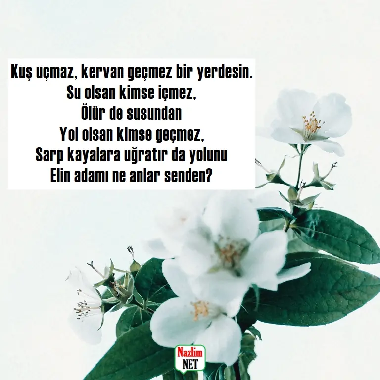 1. Yaşar Kemal şiirleri