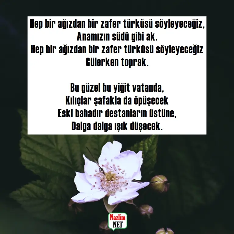 10. Yaşar Kemal şiirleri