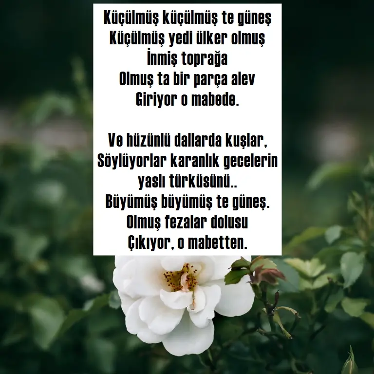 11. Yaşar Kemal şiirleri