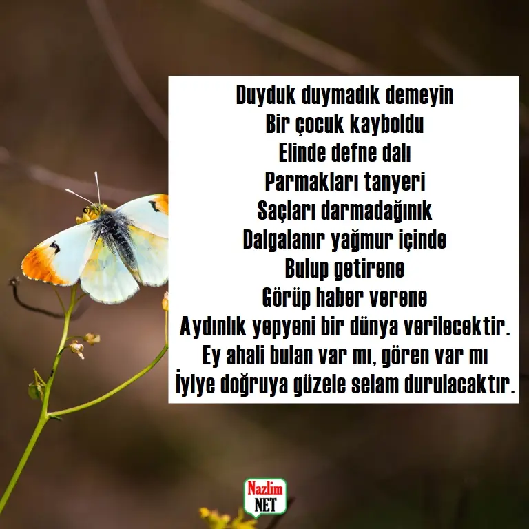 12. Yaşar Kemal şiirleri