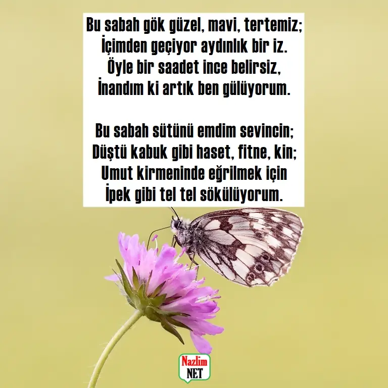 2. Yaşar Kemal şiirleri