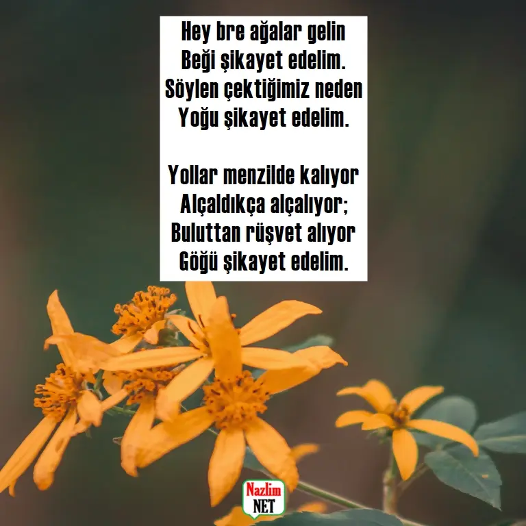 6. Yaşar Kemal şiirleri