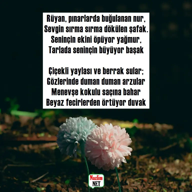 7. Yaşar Kemal şiirleri