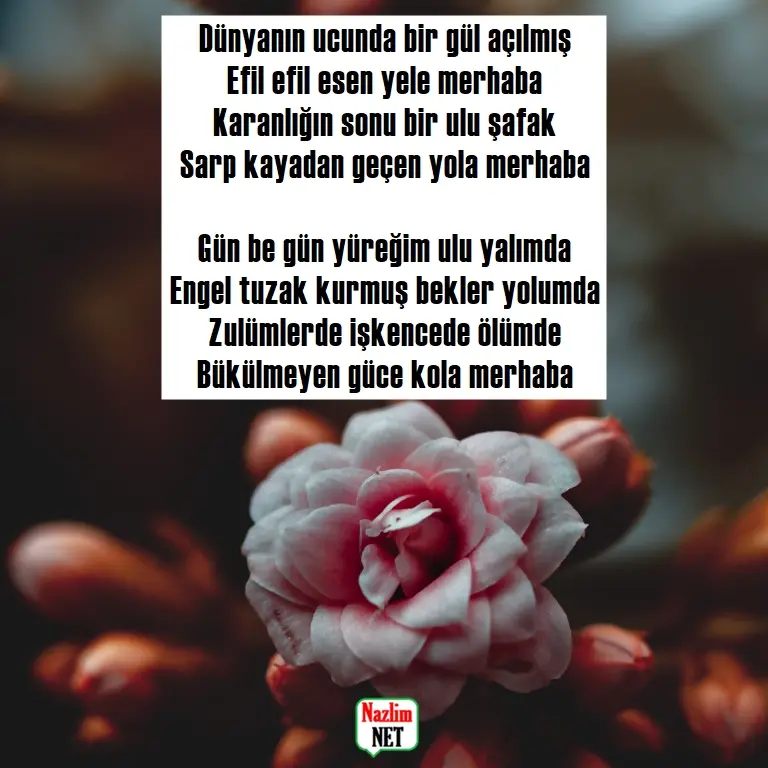 8. Yaşar Kemal şiirleri