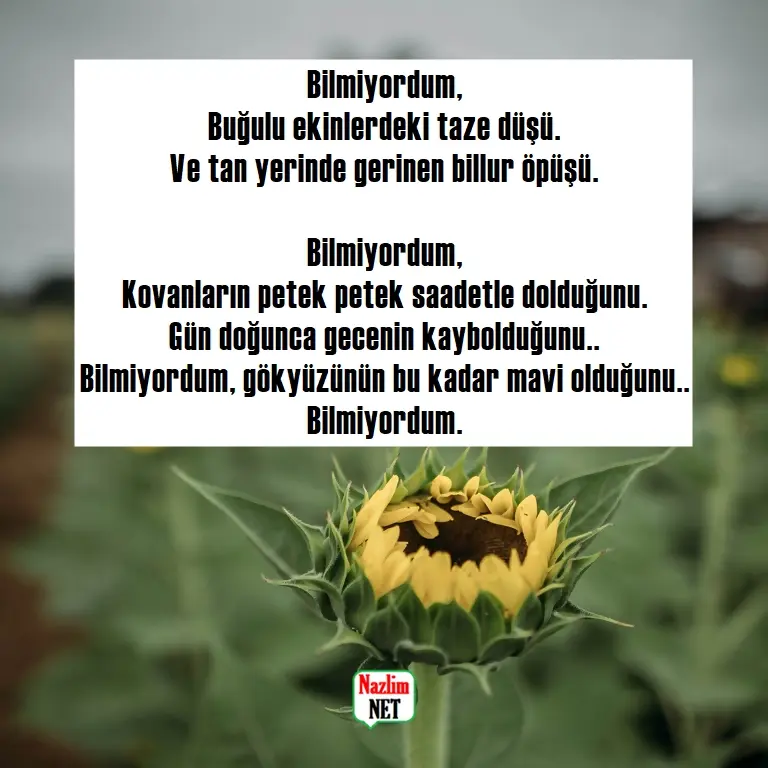 9. Yaşar Kemal şiirleri