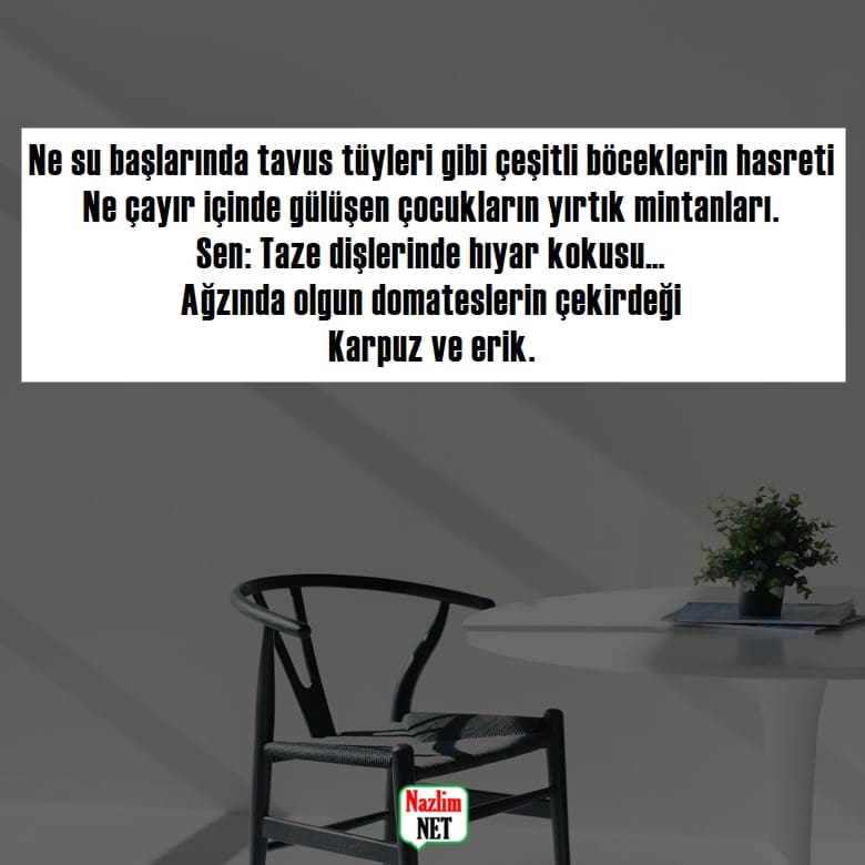 Sait Faik Abasıyanık şiirleri