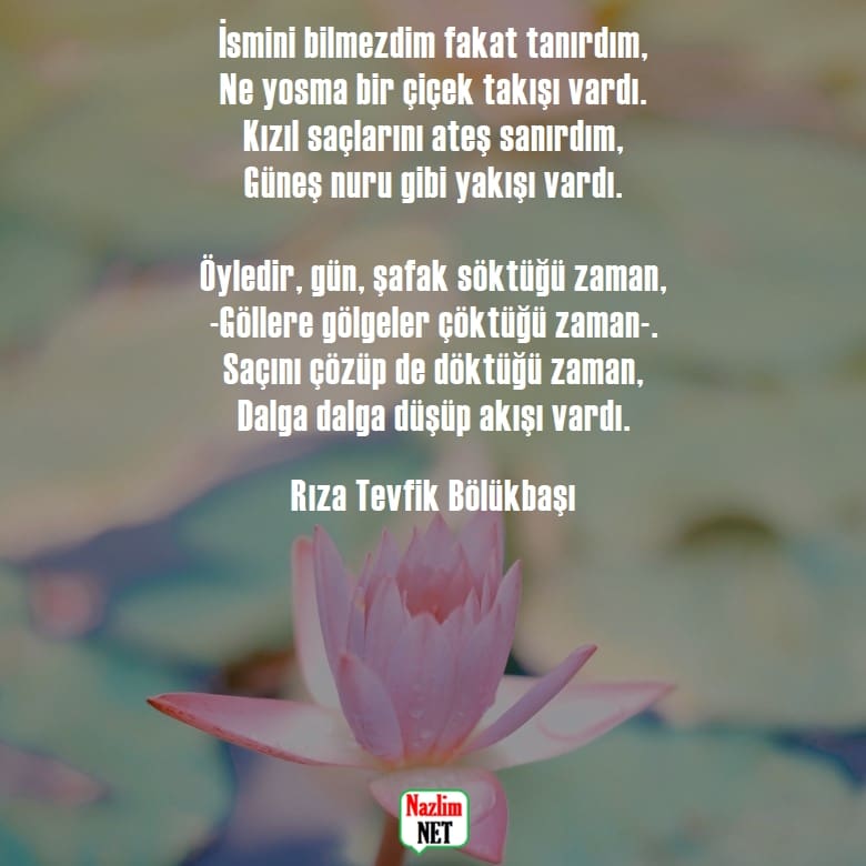 Rıza Tevfik Bölükbaşı şiirleri