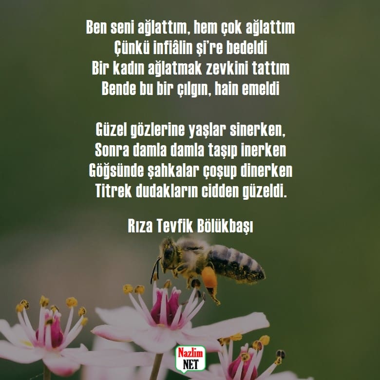 Rıza Tevfik Bölükbaşı şiirleri