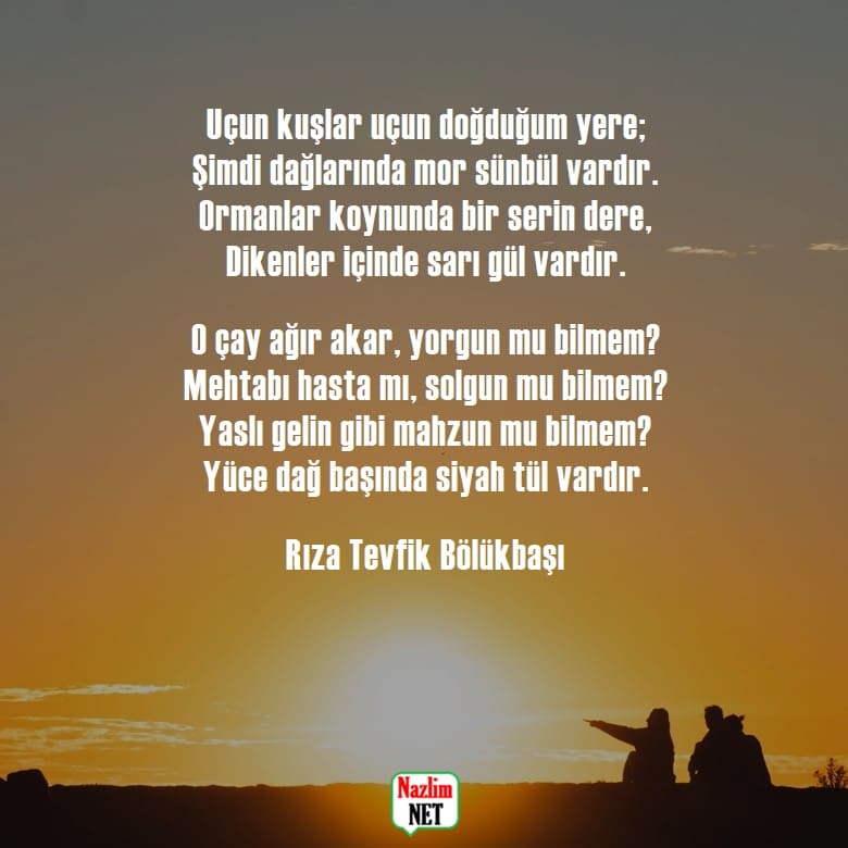 Rıza Tevfik Bölükbaşı şiirleri