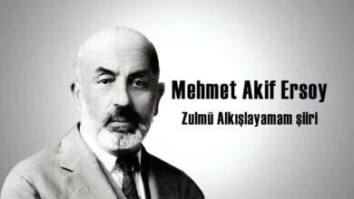 Zulmü Alkışlayamam şiiri